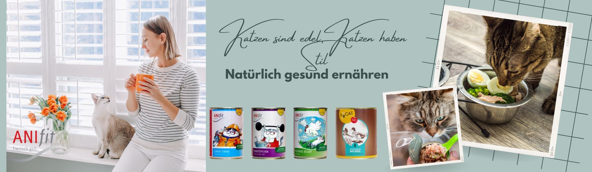 Katzenfutter
